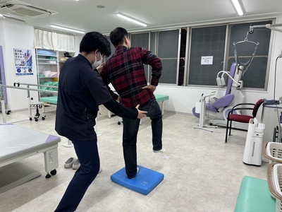 体幹の画像